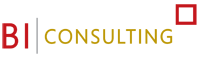BI Consulting